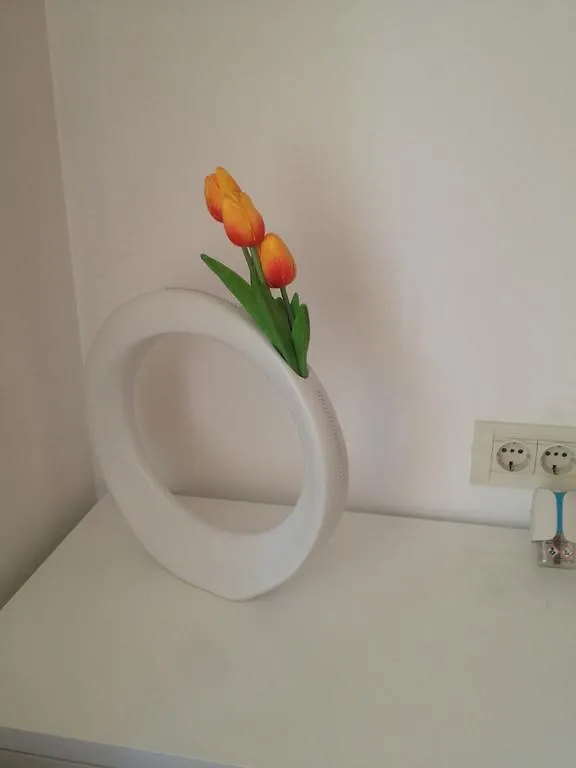Guest house Aria Room And Apartmant Fuga Rovinj
